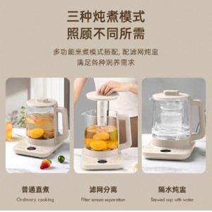 养生壶办公室家用多功能烧水壶煎药壶煮茶养生壶